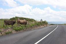 Carretera gallega