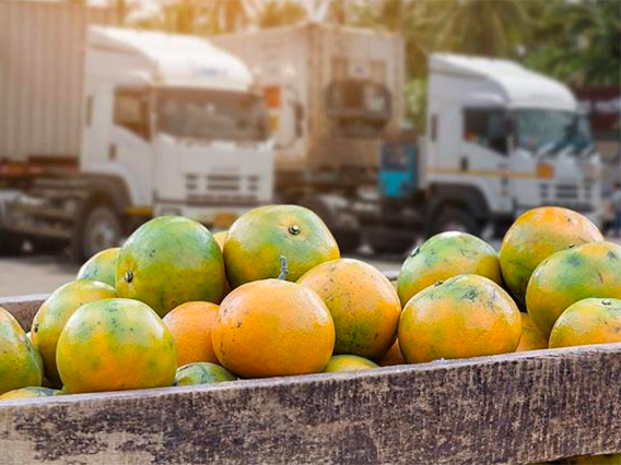 DHL lleva a Fruit Attraction propuestas para transporte de frutas y hortalizas