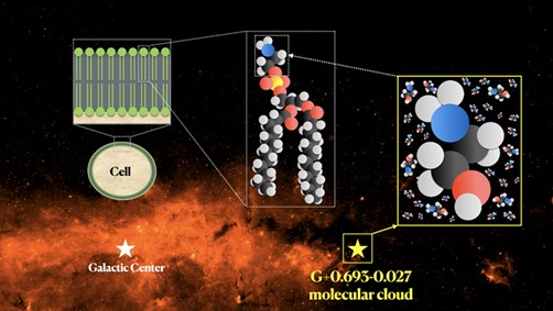 El Mitma descubre la etanolamina, clave en el origen de la vida