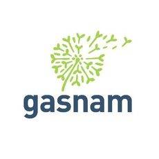 Gasnam lanza un Grupo de trabajo sobre hidrógeno
