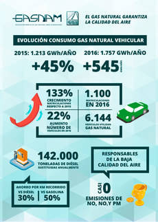 Gasnam impulsará el gas natural como combustible alternativo