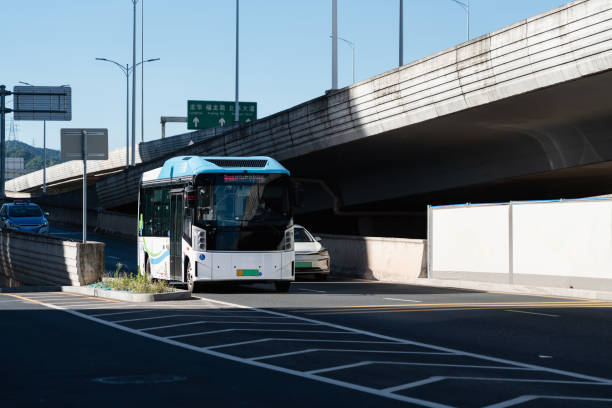 El Sector del bus refuerza sus servicios con motivo de Todos Los Santos