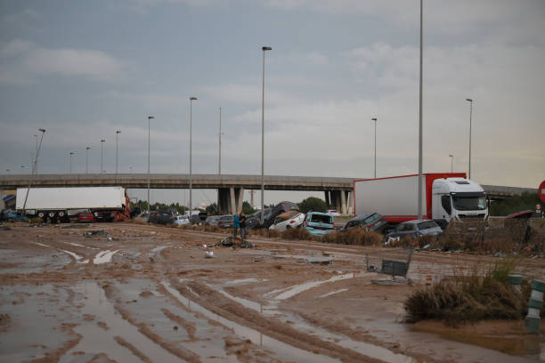 La DGT Simplifica Trámites para vehículos y permisos afectados por la DANA