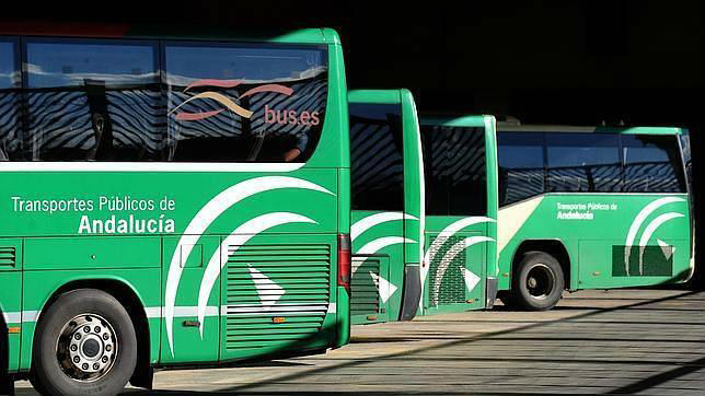 El Consorcio de Transportes de Huelva aprueba un presupuesto de 2,66 millones