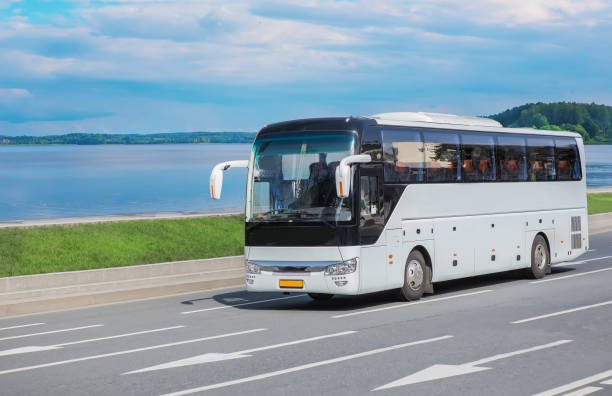 Confebus celebra el Día del Turismo recordando el papel clave del autobús