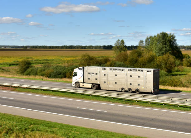 Inquietud en el sector por nuevo reglamento de transporte de animales vivos