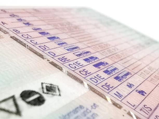 La DGT: las empresas pueden consultar el estado del carnet