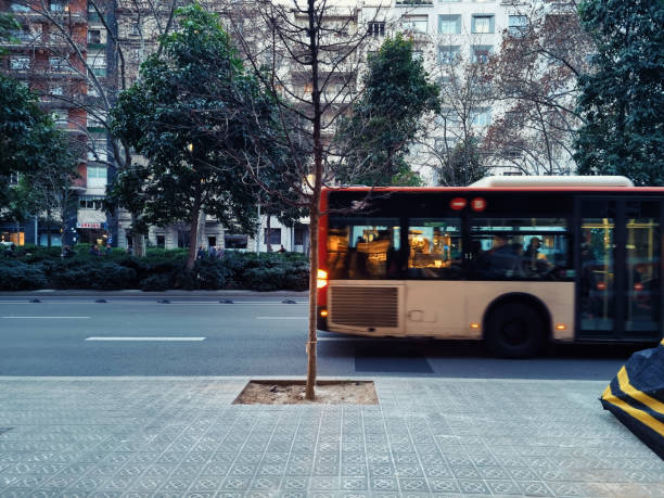 Ley de Transporte: claves para el progreso social y económico