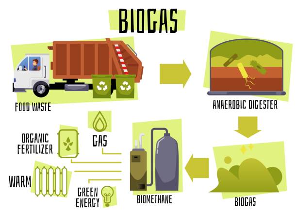 La apuesta por el bioautogás en autocares