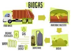 La apuesta por el bioautogás en autocares