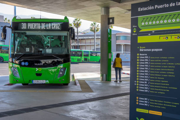 El Gobierno aprueba la gratuidad del transporte público de Canarias y Baleares