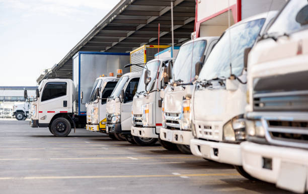 Autobuses y autocares sufren un desplome del 55.6% solo en mayo