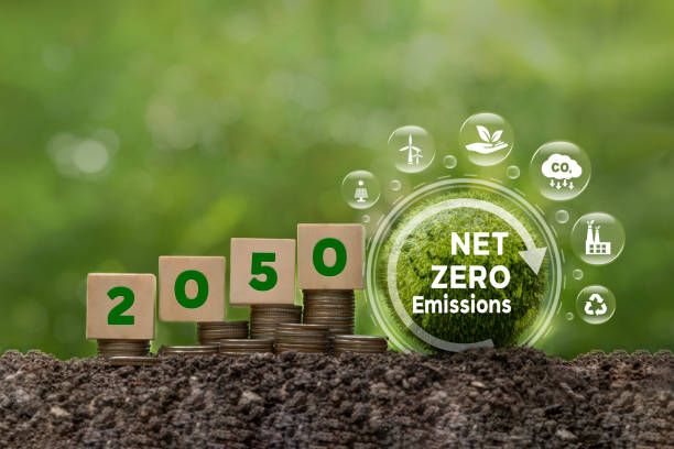 Pacto Verde Europeo: camino hacia la neutralidad climática