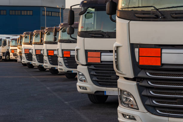 Preparativos logísticos vitales para afrontar la demanda de transporte