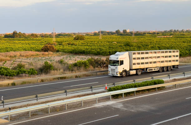 CETM participará en la formación sobre bienestar animal en transporte