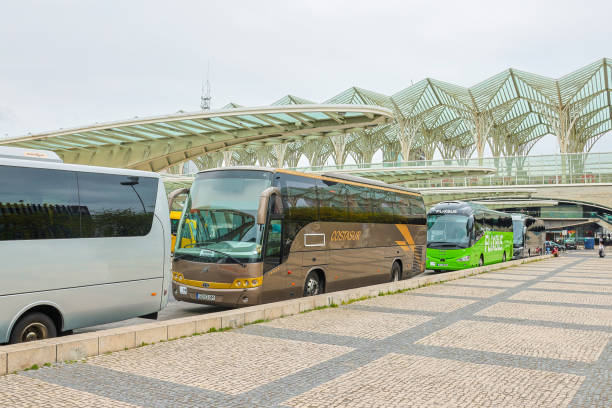 Autobuses y autocares rozan el cero de mortalidad en carretera este verano