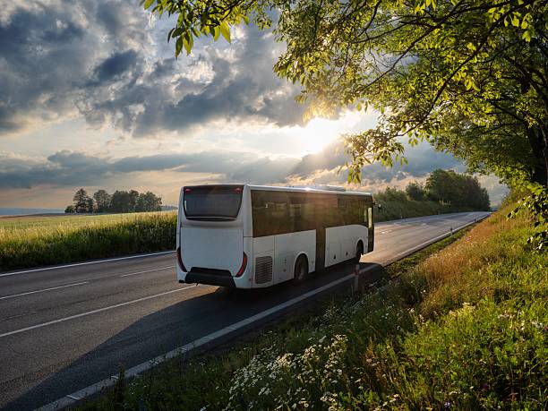 El autobús crece un 7.8% en agosto