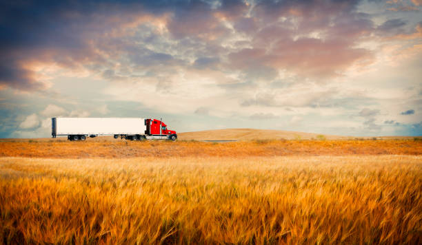 La importancia de la logística en las exportaciones agroalimentarias españolas