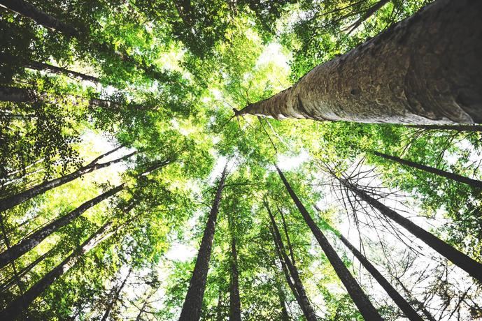 Mann- Filter promueve movilidad limpia con tecnología natural