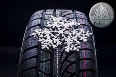 Neumáticos para la nieve
