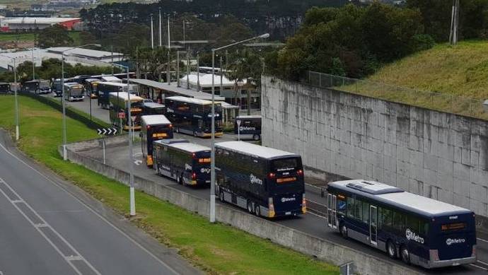 Una flota de autobuses.