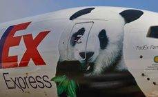 El panda Bei Bei, a bordo de FedEx Panda Express