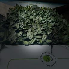 Michelin y Murarte transforman neumáticos en jardines verticales