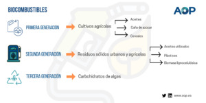 Biomasa y tres generaciones de biocombustibles: ¿qué son?