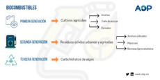 Biomasa y tres generaciones de biocombustibles: ¿qué son?