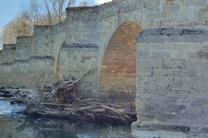 Puente sobre el río Esla en Castrogonzalo, Zamora.