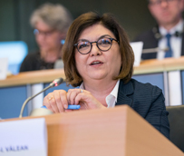 Los eurodiputados de Transporte y Turismo interrogaron a Adin Vălean