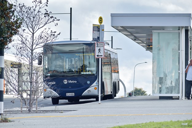 Nueva Zelanda comienza ofrecer el servicio de transporte gratuito